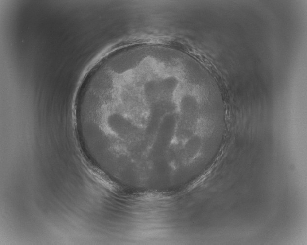 X0000072520246200608111727