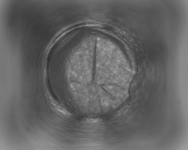 X0000072520247200608111727