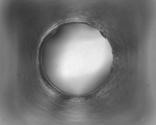 X0000072520248200608111727