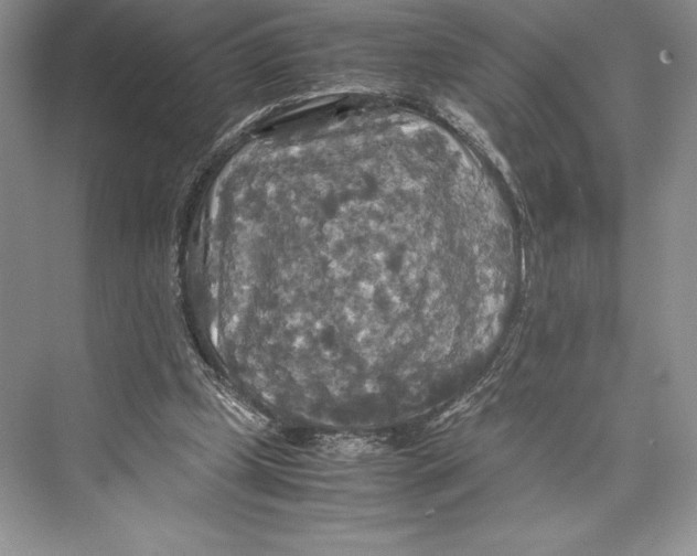 X0000072520249200608111727