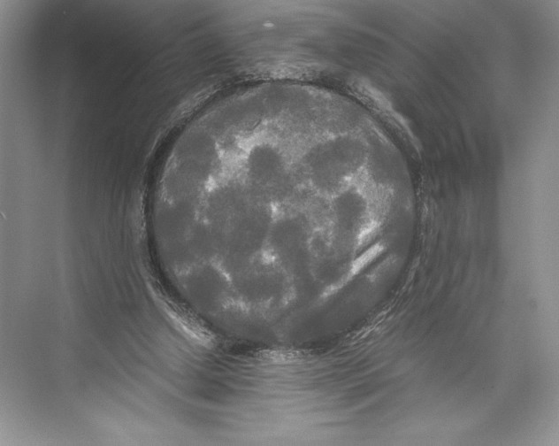 X0000072520250200608111727