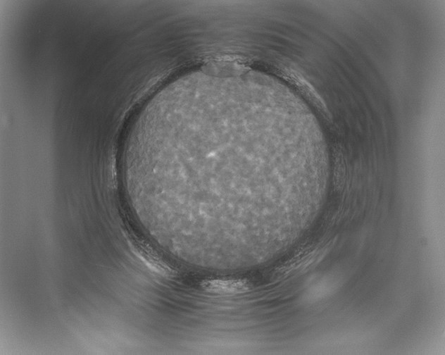 X0000072520251200608111728