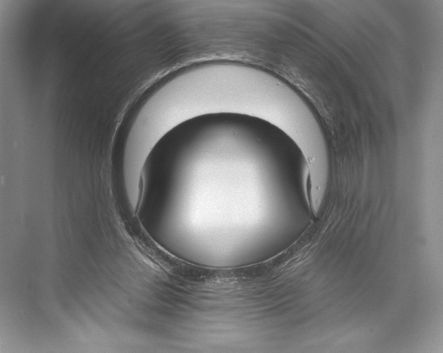 X0000072520252200608111728