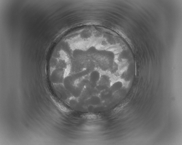 X0000072520253200608111728