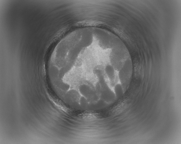 X0000072520254200608111728