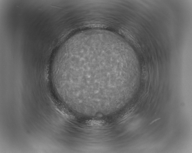 X0000072520255200608111728