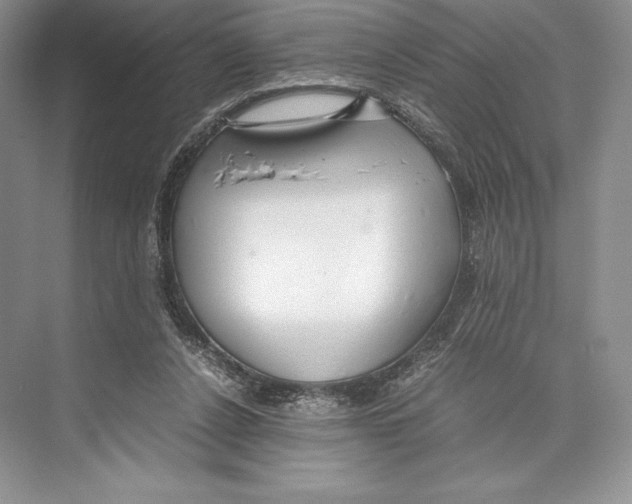 X0000072520256200608111728