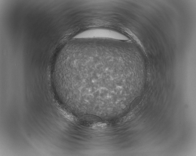 X0000072520257200608111728