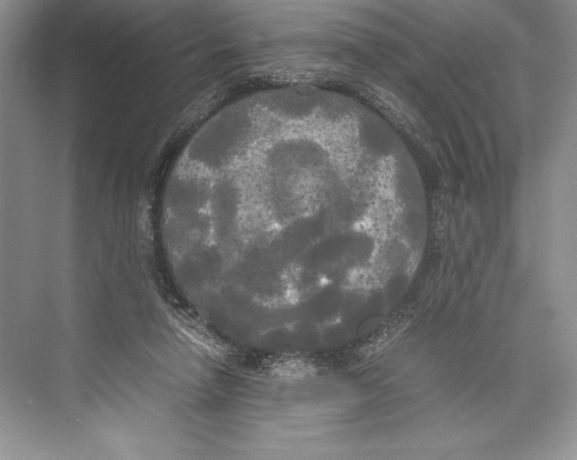 X0000072520258200608111728