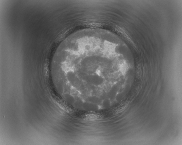 X0000072520259200608111728