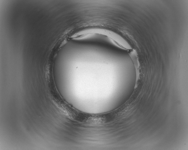 X0000072520260200608111728