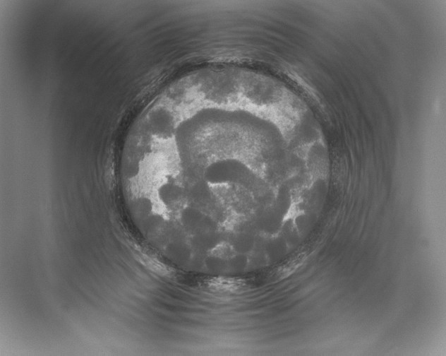 X0000072520261200608111728