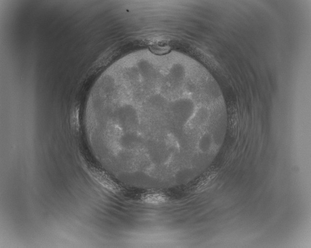 X0000072520262200608111728