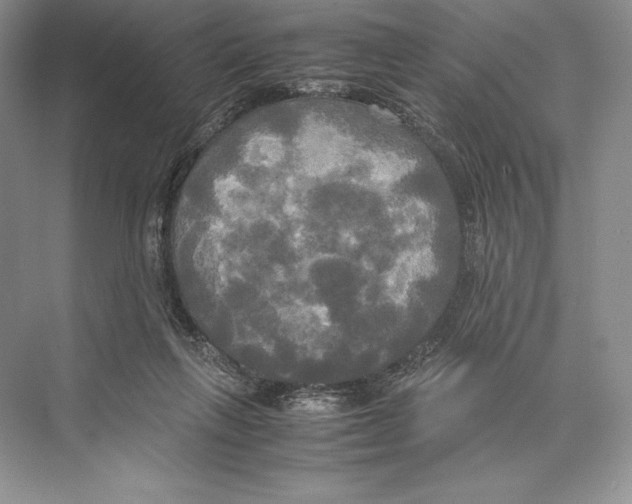 X0000072520263200608111728