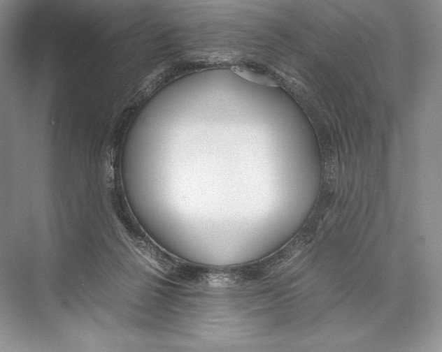 X0000072520264200608111728