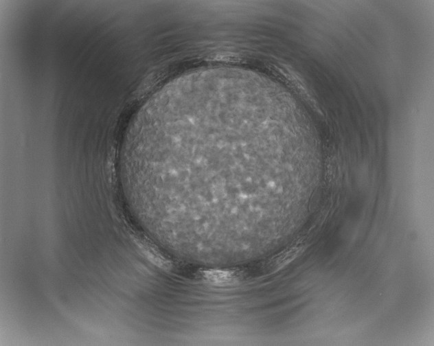 X0000072520265200608111728