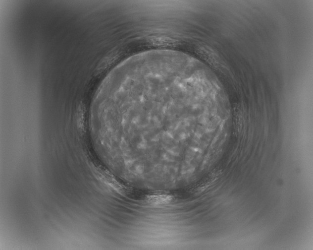 X0000072520266200608111728