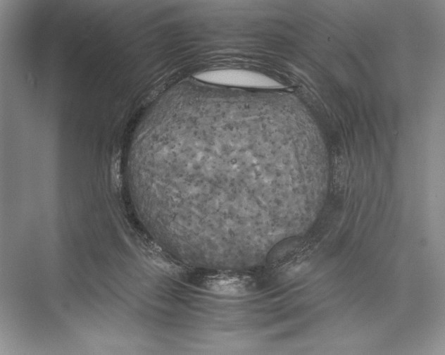 X0000072520267200608111728