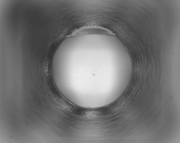 X0000072520268200608111728