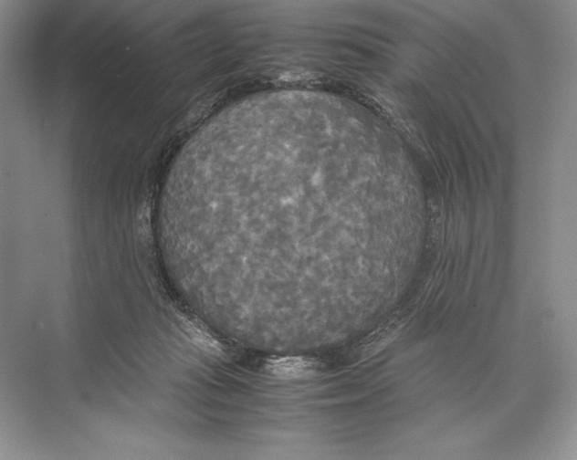 X0000072520269200608111728