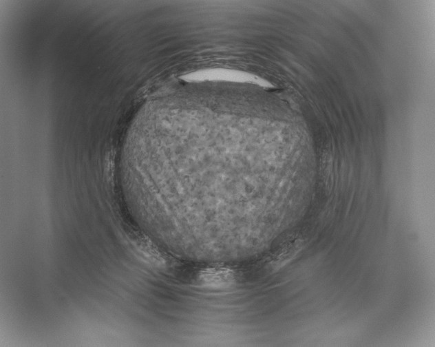 X0000072520271200608111728