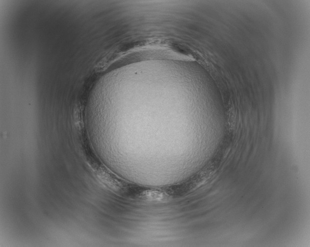 X0000072520272200608111728