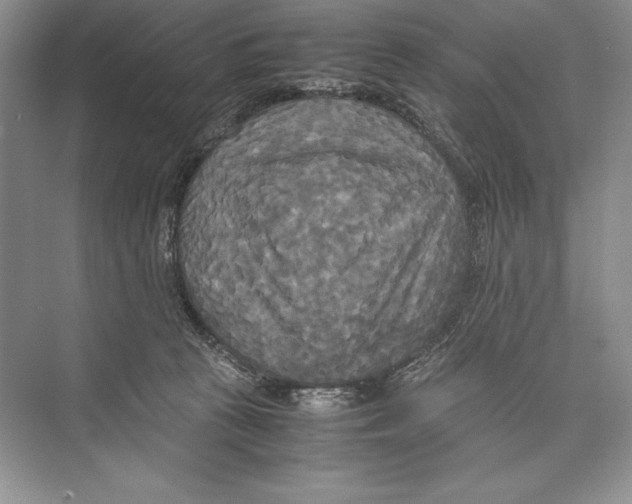 X0000072520273200608111728