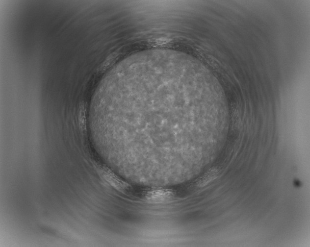 X0000072520274200608111728