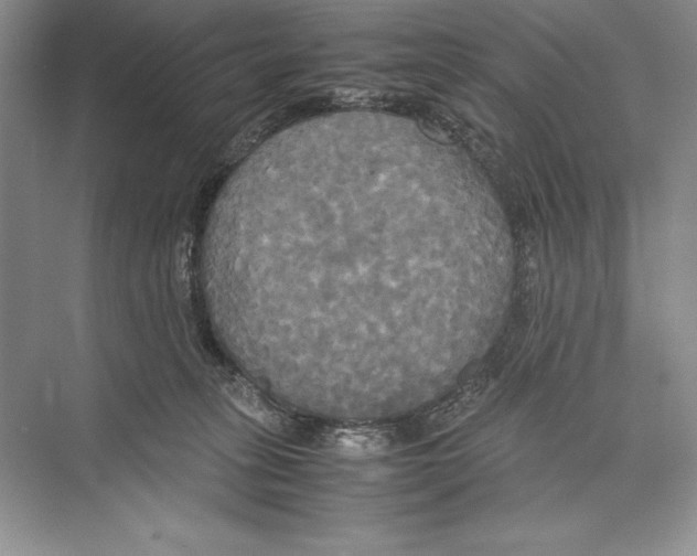 X0000072520275200608111728