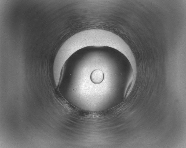 X0000072520276200608111728