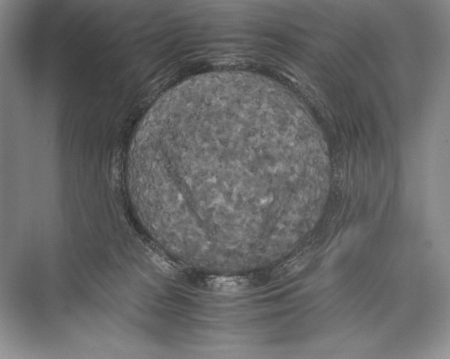 X0000072520277200608111728