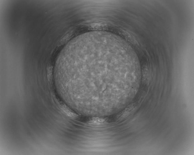 X0000072520278200608111728