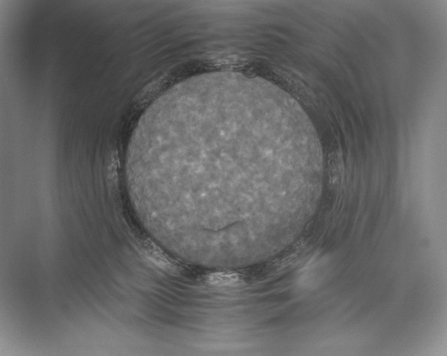 X0000072520279200608111728