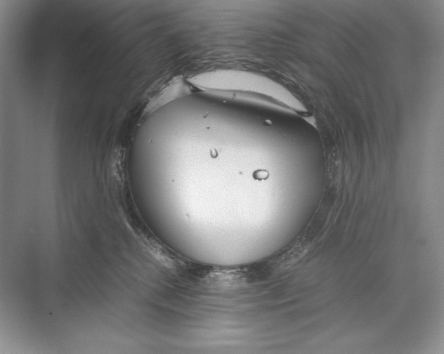 X0000072520280200608111728