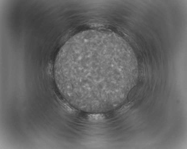 X0000072520281200608111728