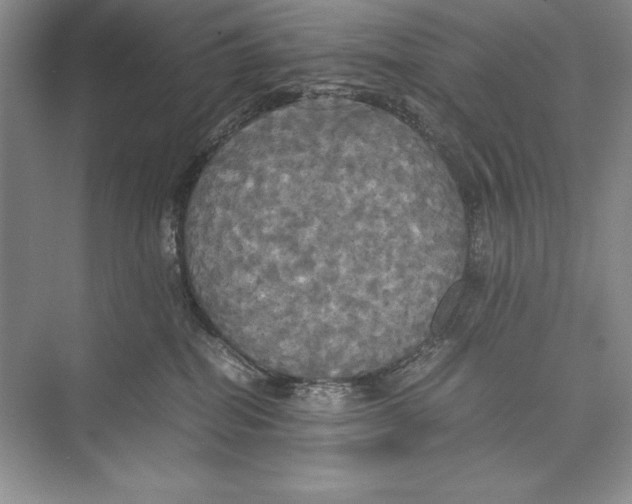 X0000072520282200608111728