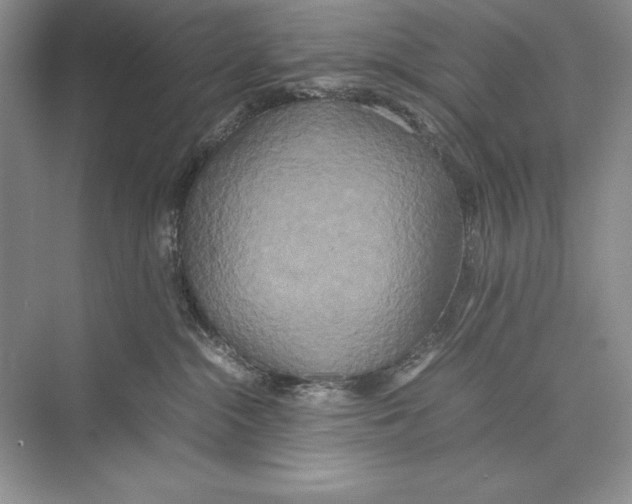 X0000072520284200608111728