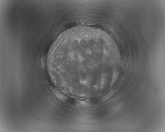 X0000072520285200608111728