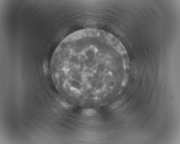 X0000072520287200608111728