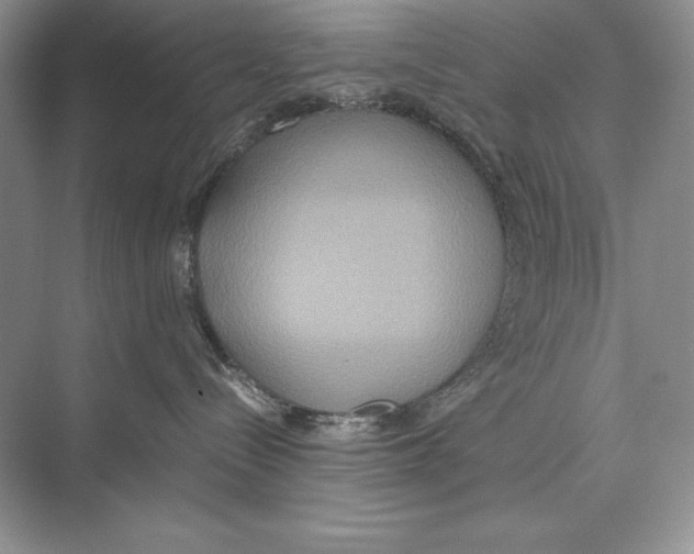 X0000072520288200608111728