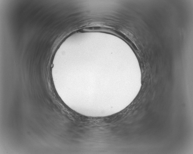 X0000072520289200608111727