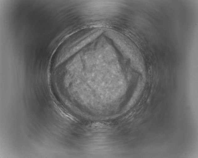 X0000072520290200608111727