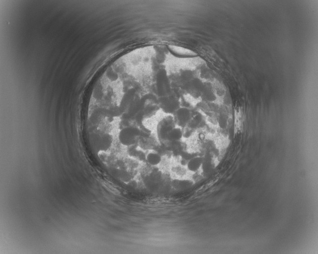 X0000072520291200608111727