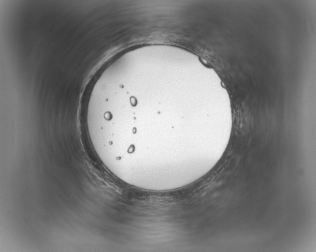 X0000072520292200608111727