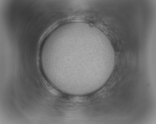 X0000072520293200608111727