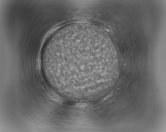 X0000072520294200608111727