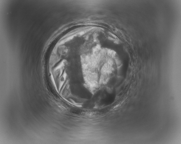 X0000072520295200608111727