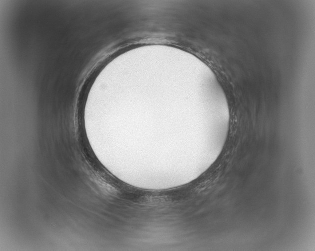 X0000072520296200608111727