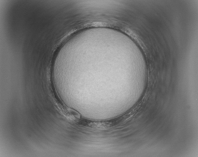 X0000072520297200608111727