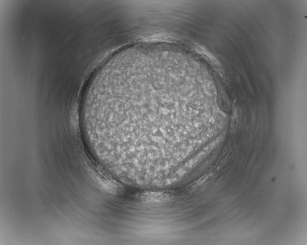 X0000072520298200608111727